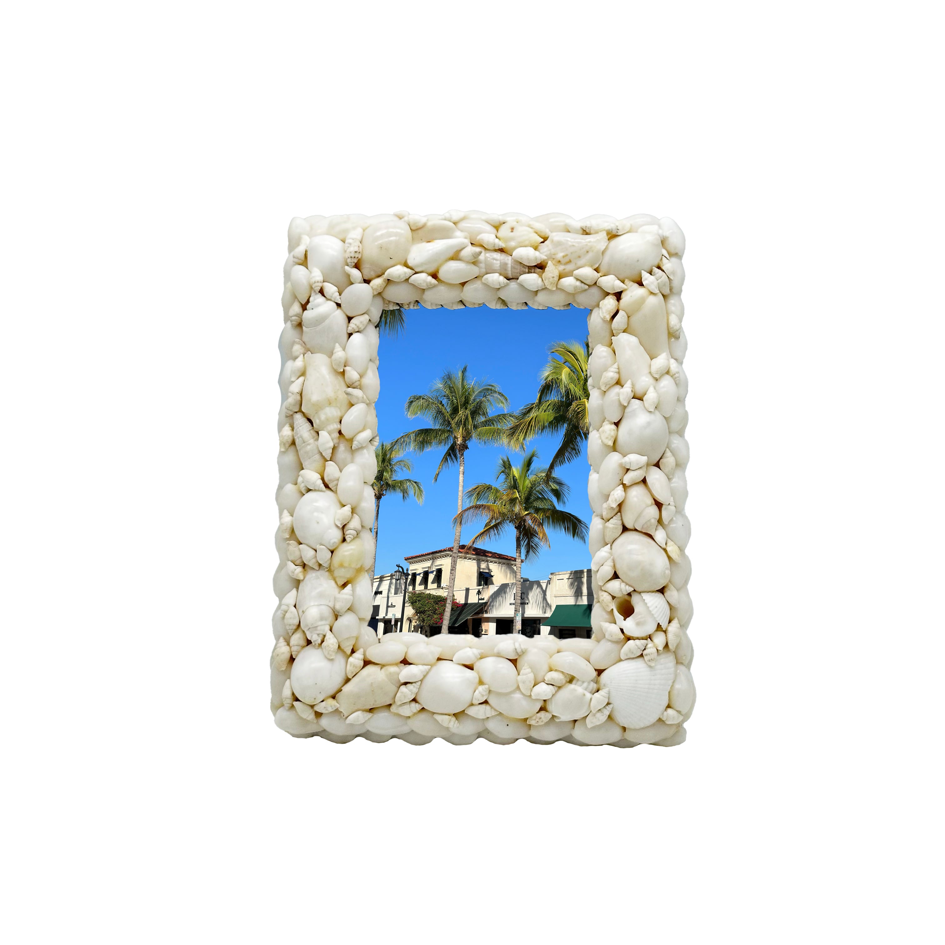 Shell Picture Frame II – The Nix