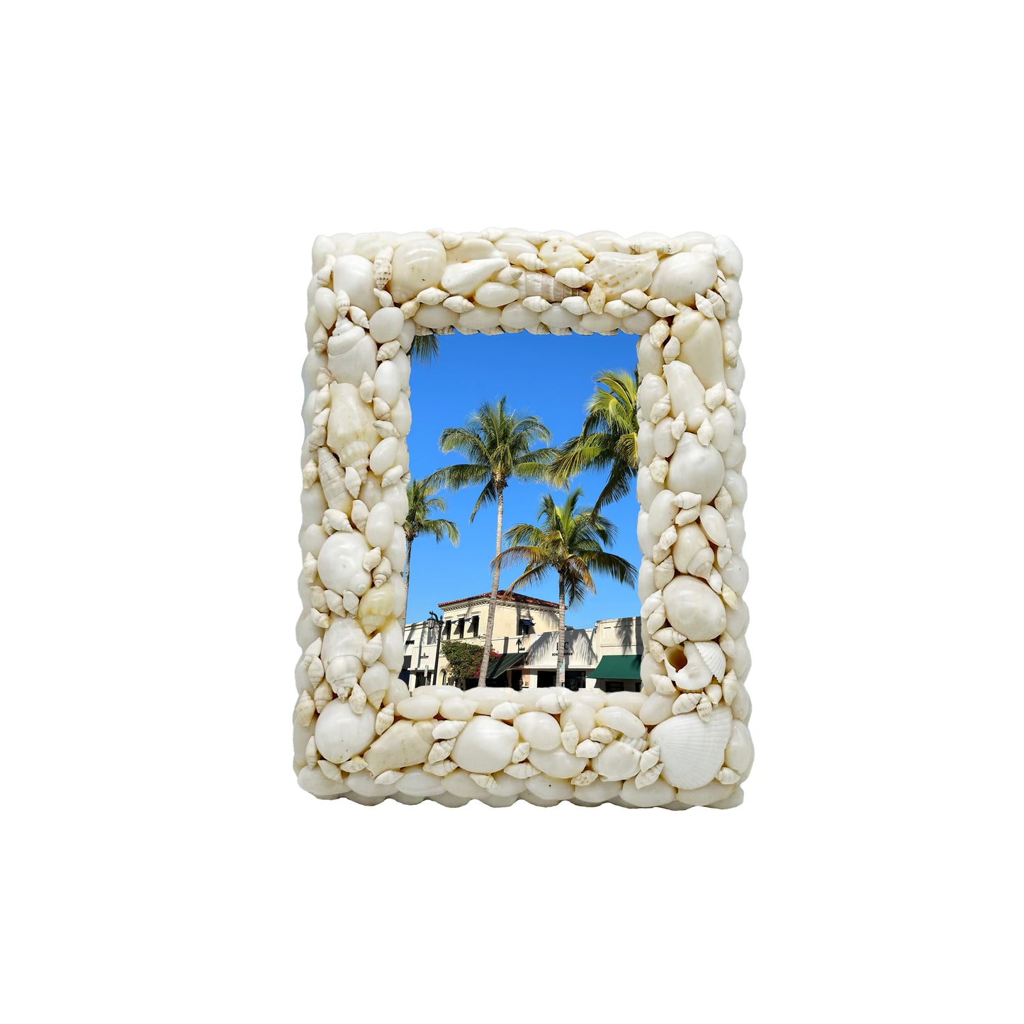 Shell Picture Frame II