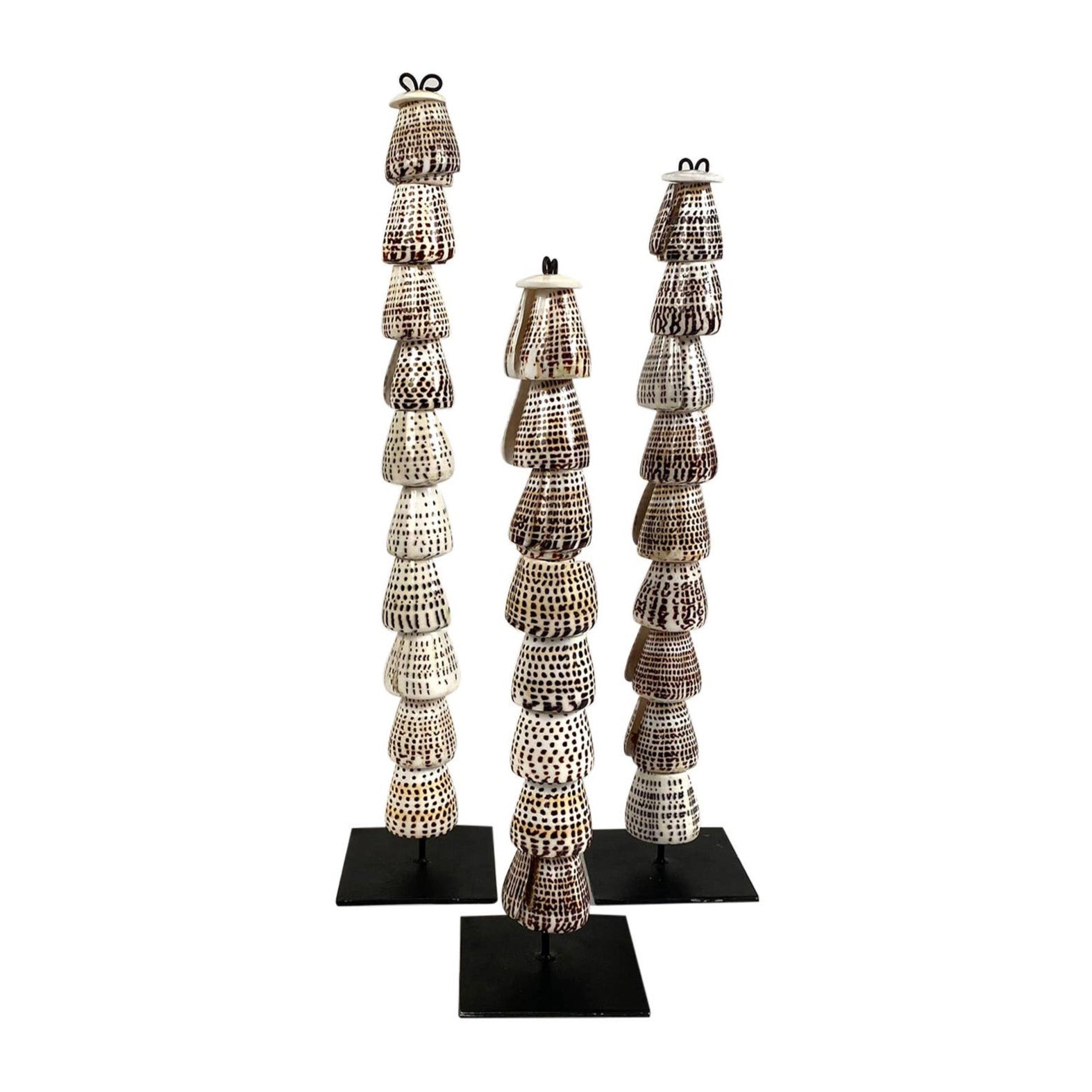 Papua Cone Shell Stack Sculpture S/3 – The Nix