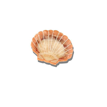 Shell-shaped hair clip on a white background