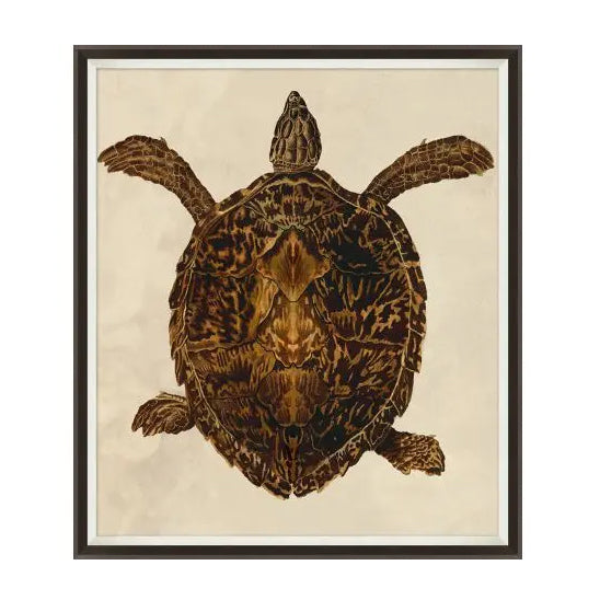 Turtle Print 1