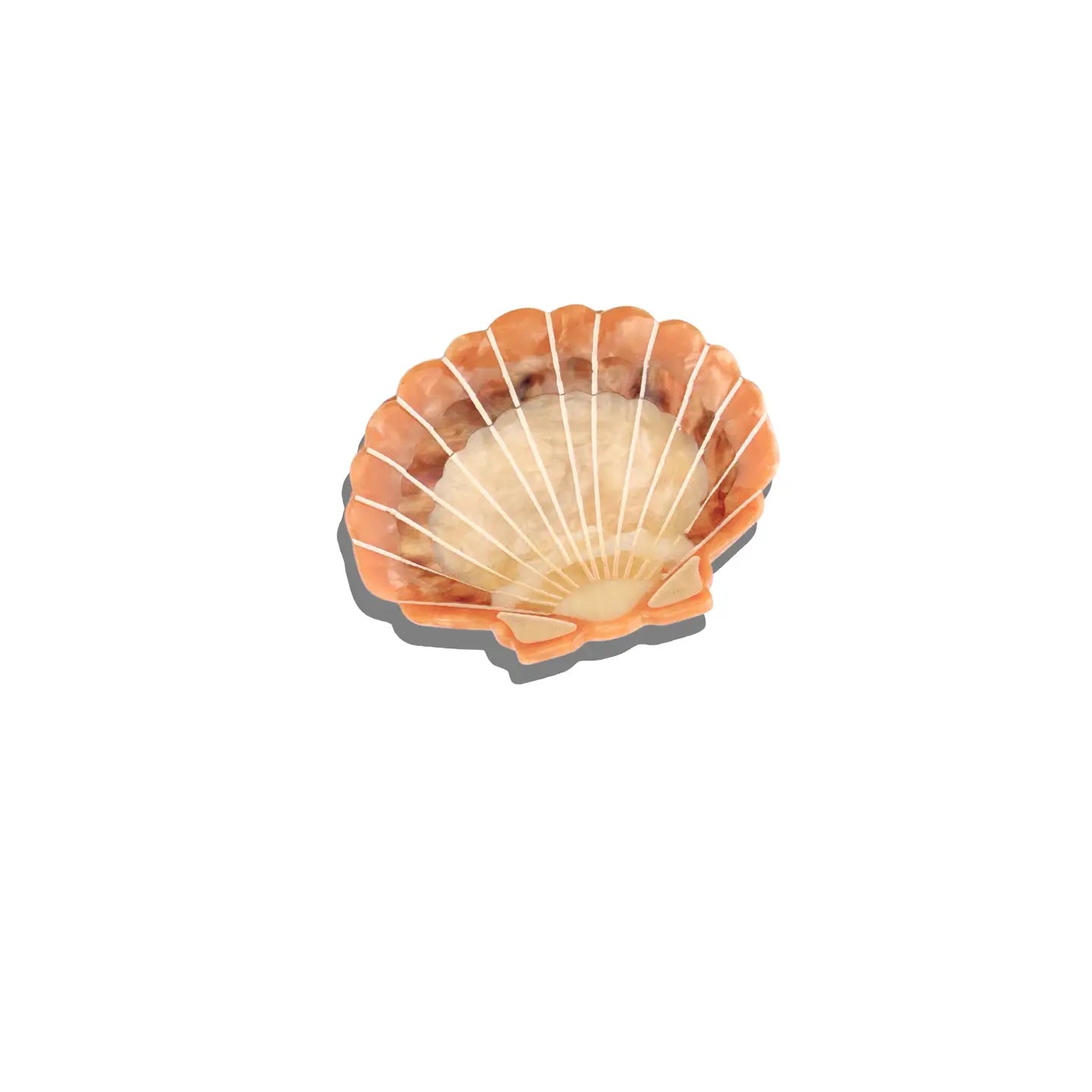 Shell Hair Clip Collection