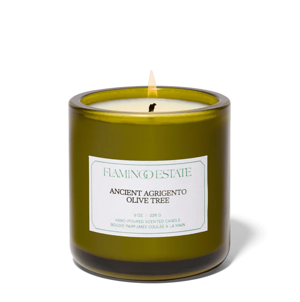 Flamingo Estate: Ancient Agrigento Olive Tree Candle