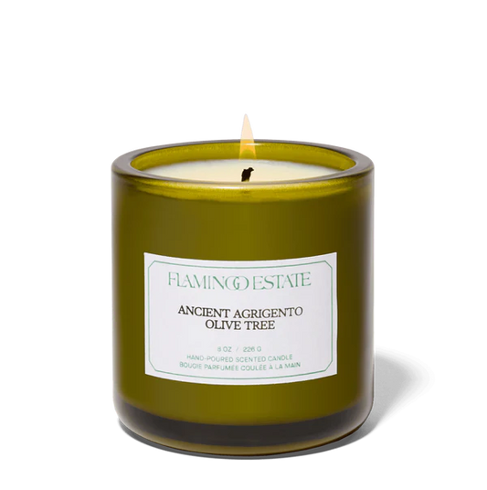 Flamingo Estate: Ancient Agrigento Olive Tree Candle