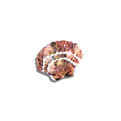 Shell-shaped hair clip with a textured surface on a white background